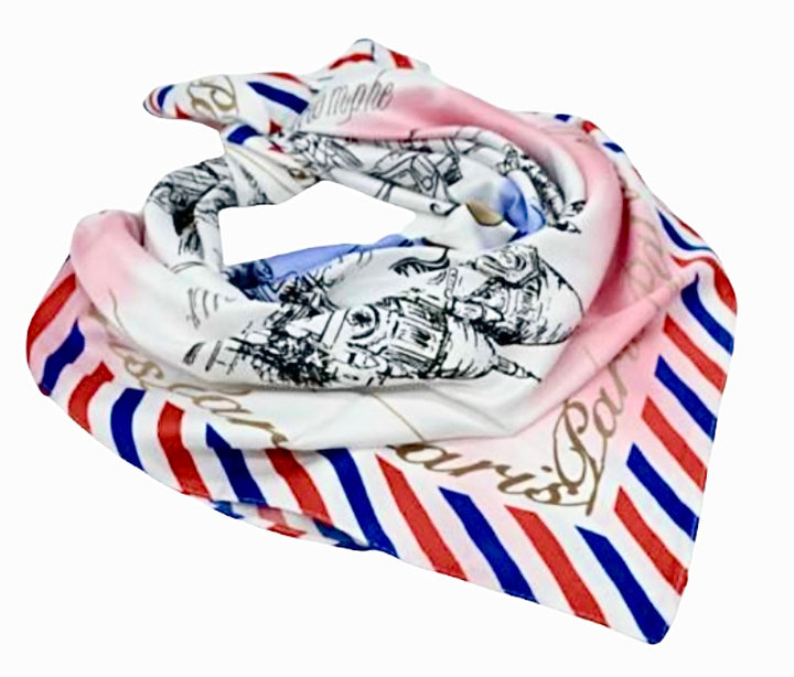 Scarf Paris France la vie en Rose Tricolore