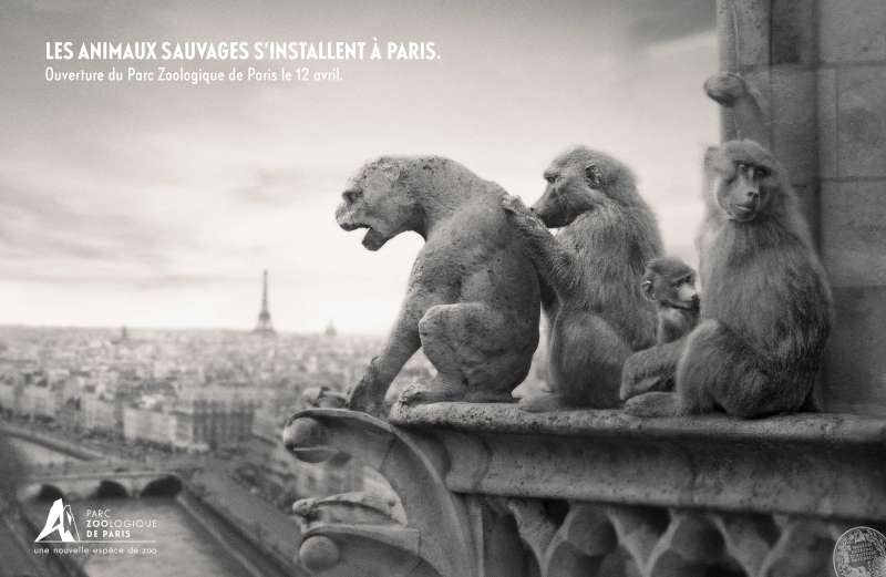 Le Zoo de Paris investit la ville