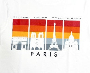 Camiseta Monumentos de Paris Ombre