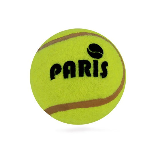 Balle de tennis Paris 