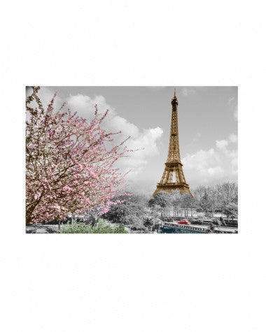 carte postal arbre rose