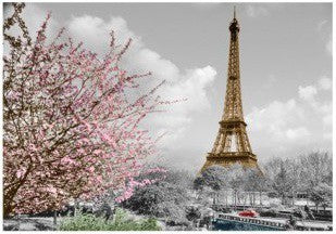 Carte postal noir et blanc Tour Eiffel "arbre rose"