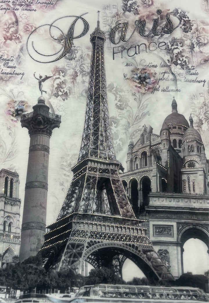 Tee shirt Tour Eiffel monuments suprême